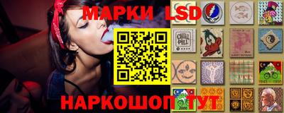 амф Сланцы