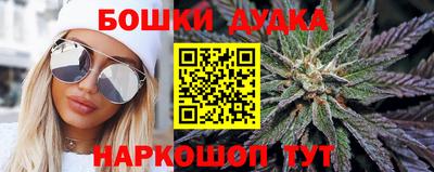 амф Сланцы