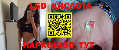 амф Сланцы